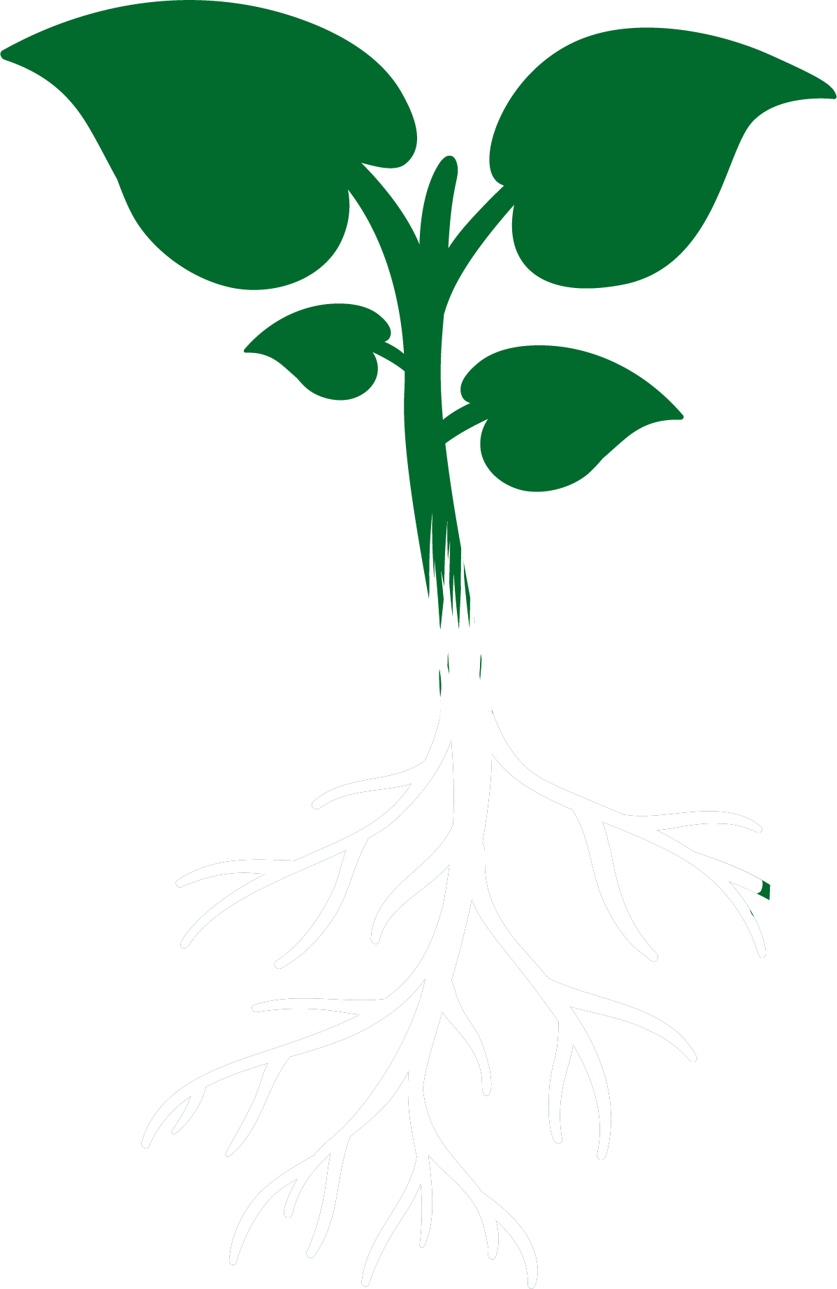 Harsal Tarım Solucan Gübresi